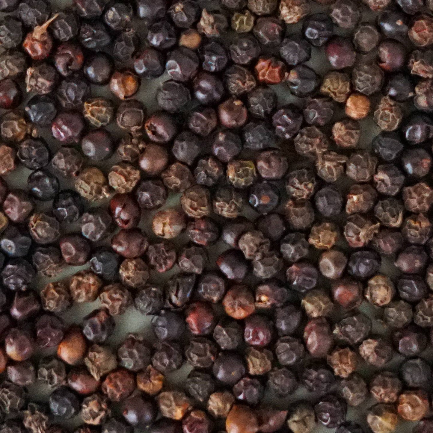 Sourcery Spices
