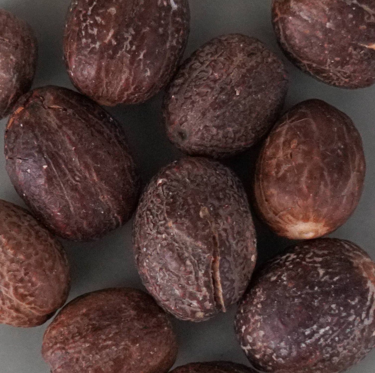 Sourcery Spices