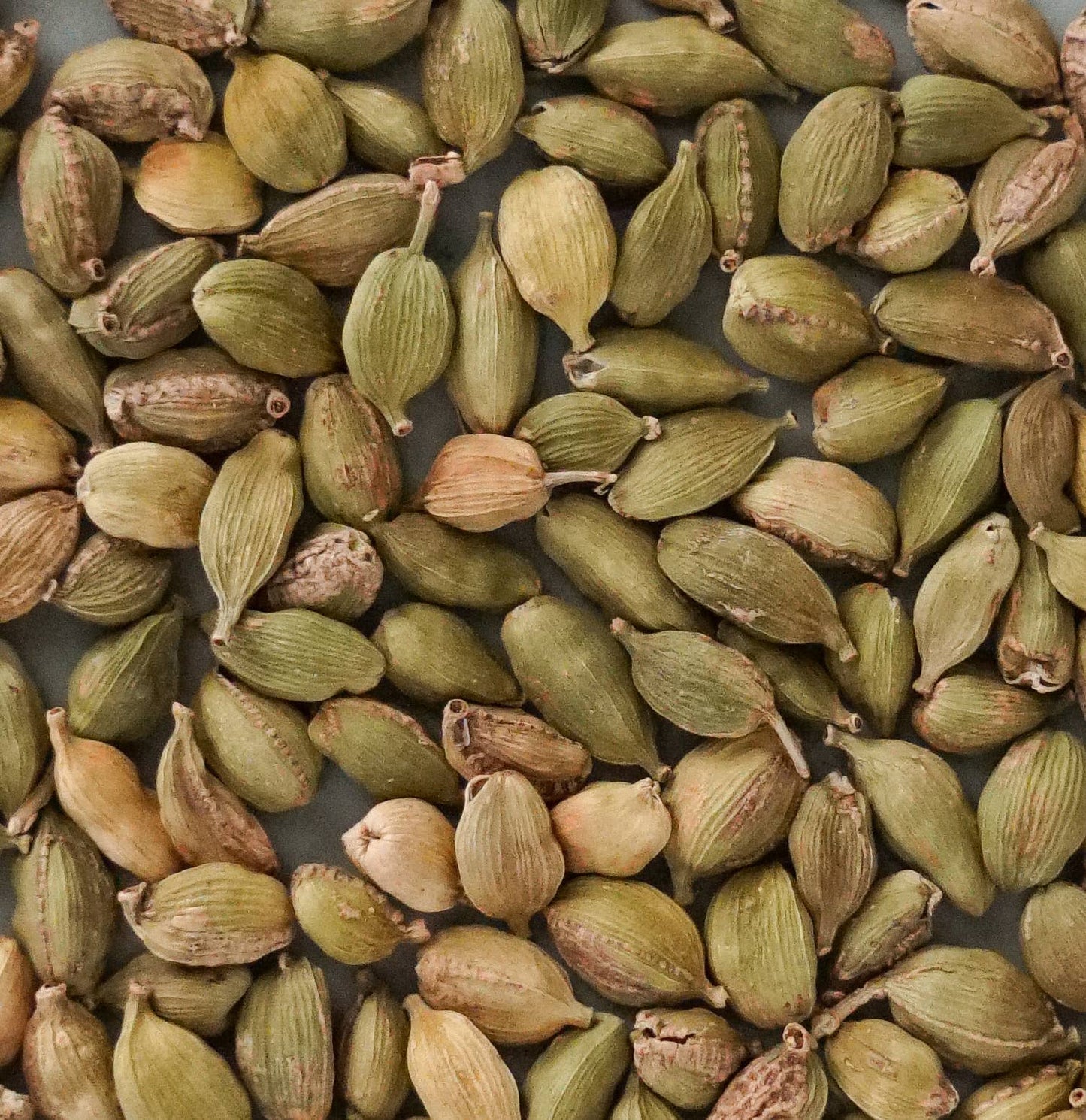 Sourcery Spices