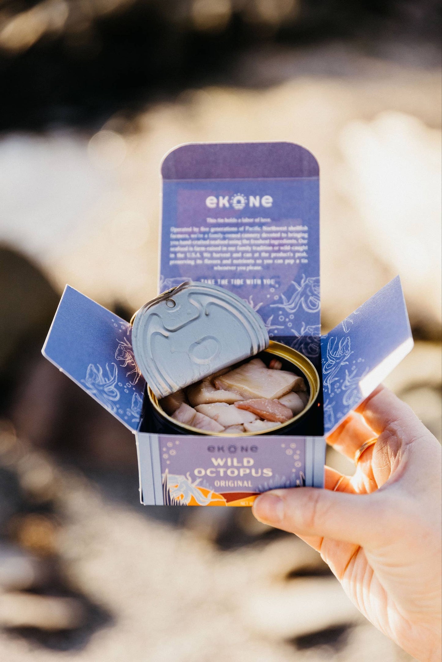 Giant Pacific Octopus