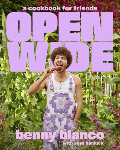 Open Wide - Benny Blanco