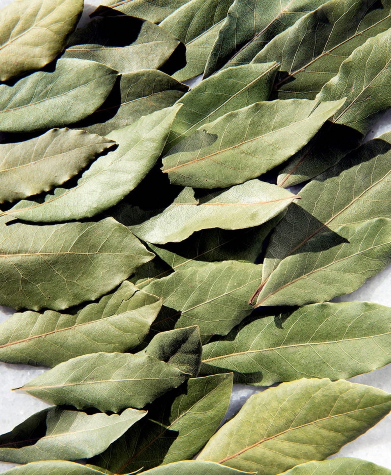 Daphnis and Chloe - Herbs and Spices - Bay Leaves